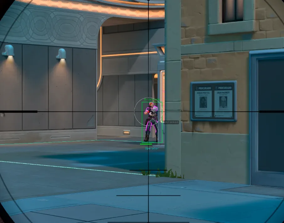 Valorant aimbot skeleton targeting