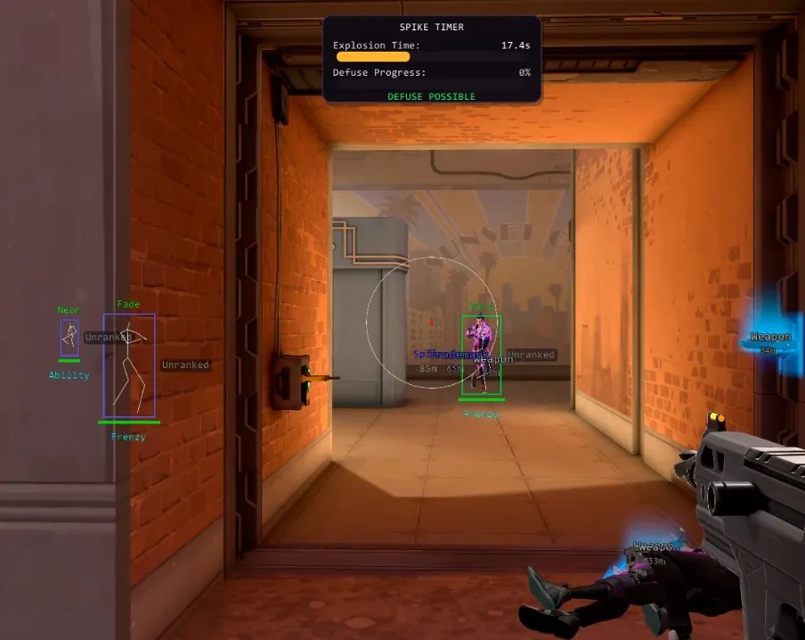 Valorant wallhack skeleton ESP